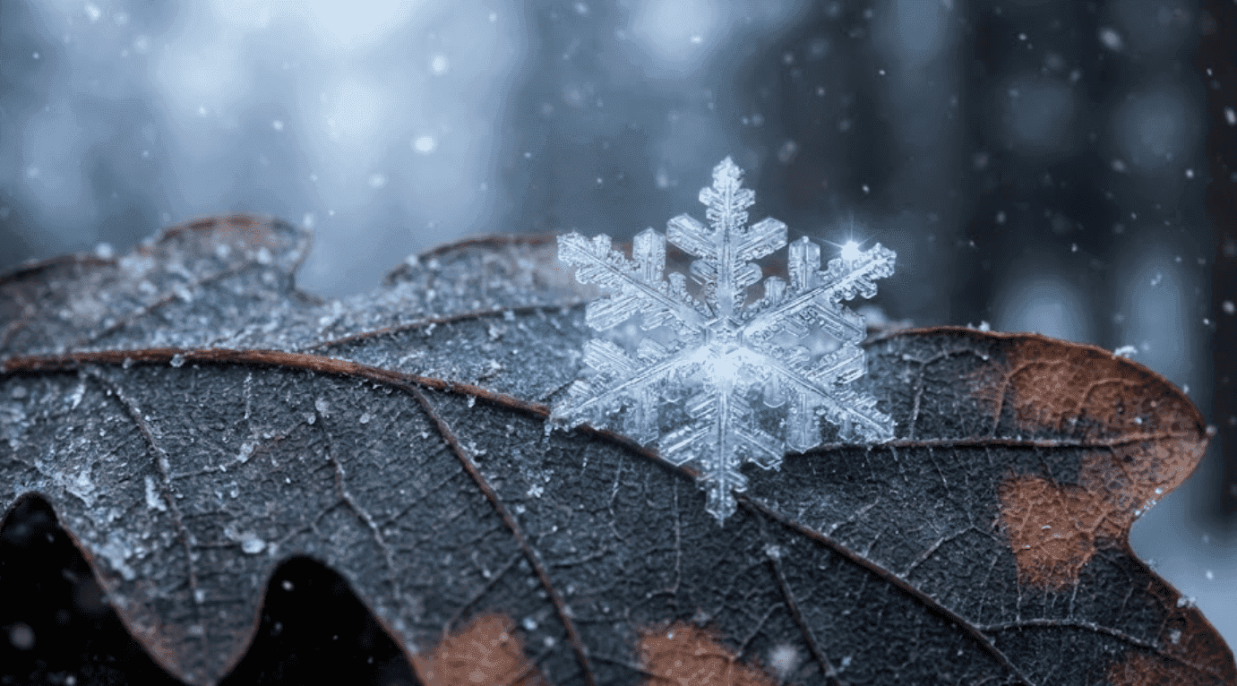 夢占い 雪が映画のような神秘的な雰囲気で描かれ、清浄と隠された真実を象徴しています。