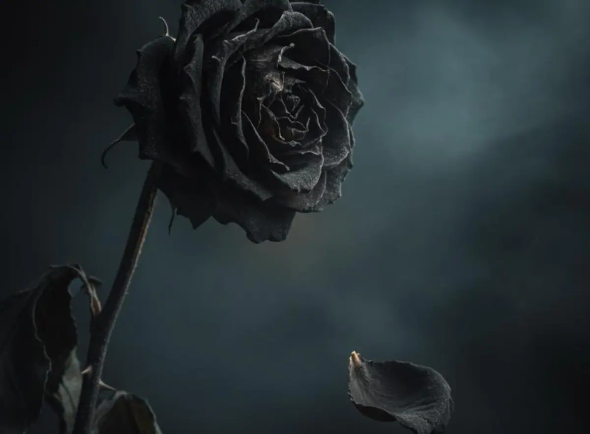 Dying Dream Meaning: What It Means to Dream You Die