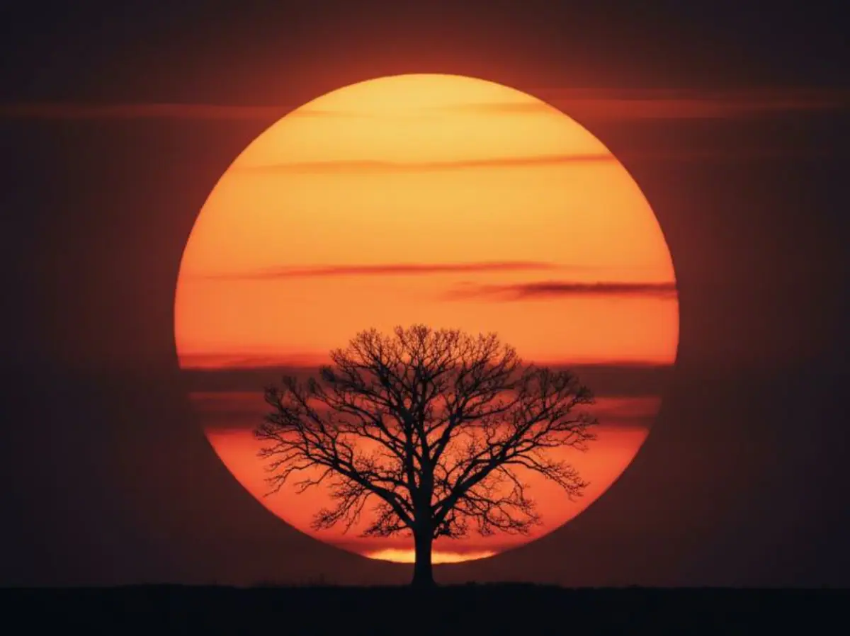 Dream interpretation of Sun depicted in a cinematic mystical atmosphere, symbolizing enlightenment and vitality.